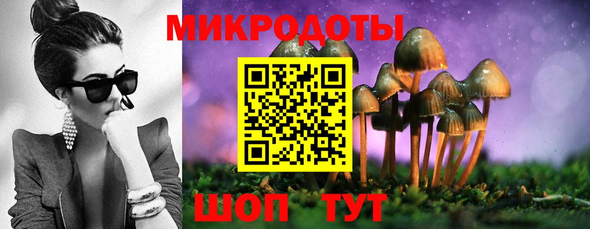Псилоцибиновые грибы Cubensis  даркнет сайт  Казань  Вход с VPN  Псилоцибиновые грибы GOLDEN TEACHER 